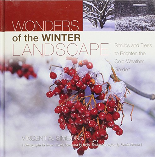 Wonders of the Winter Landscape