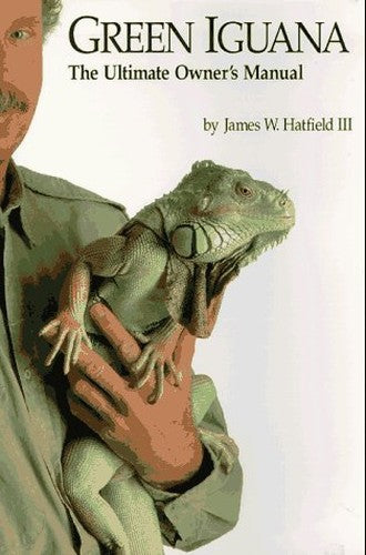 Green Iguana