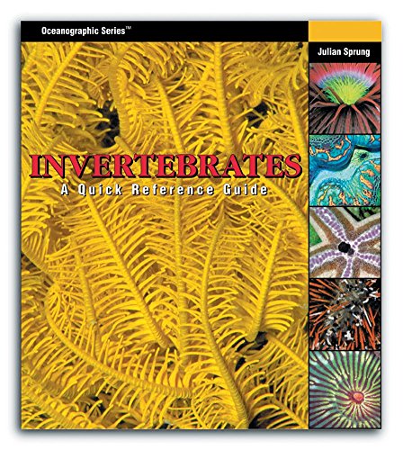 Invertebrates