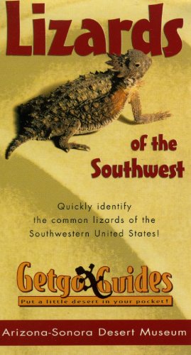 Getgo Guide: Lizards of the Southwest