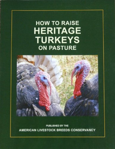How to Raise Heritage Turkeys on Pasture