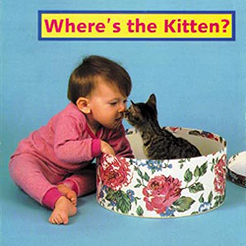 Where's the Kitten?