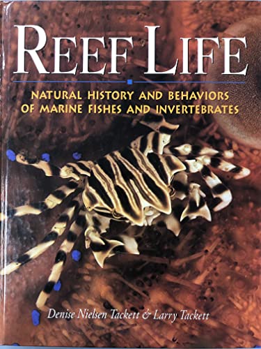 Reef Life