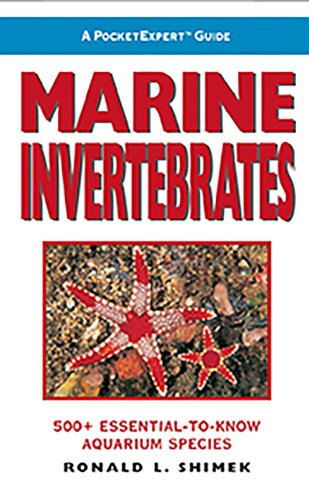 Marine Invertebrates