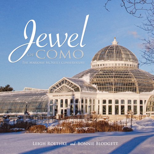 Jewel of Como