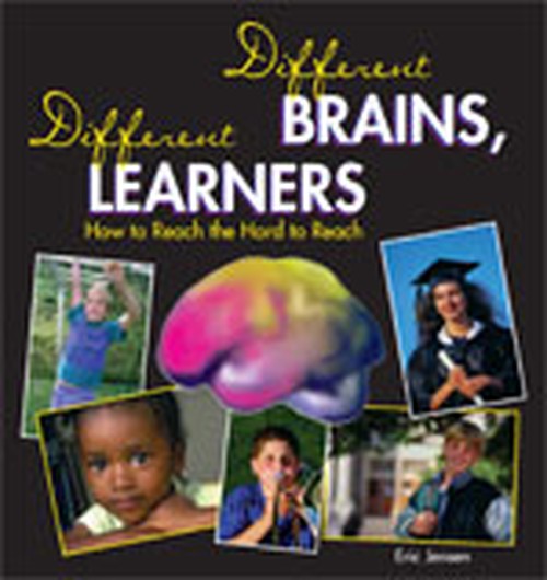 Different Brains, Different Learners