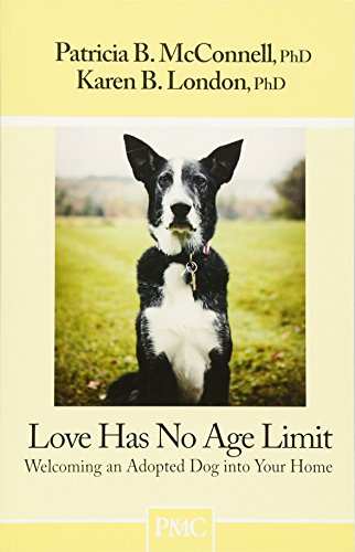 Love Has No Age Limit