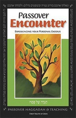 Passover Encounter Experiencing Your Personal Exodux