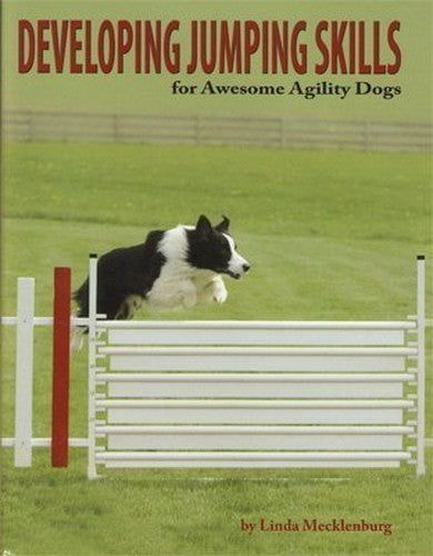 Developing Jumping Skills For Awesome Agility Dogs