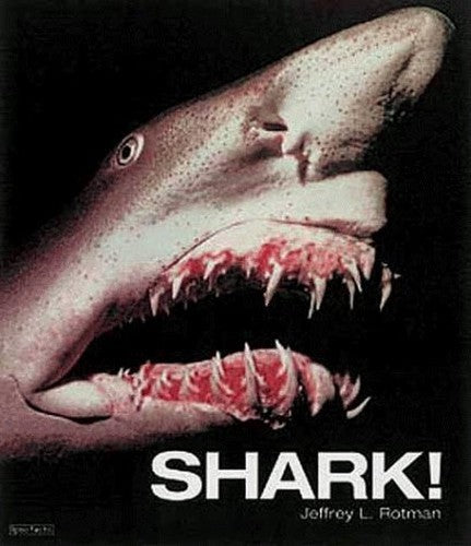 Shark!