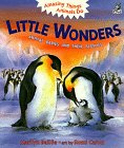 Little Wonders