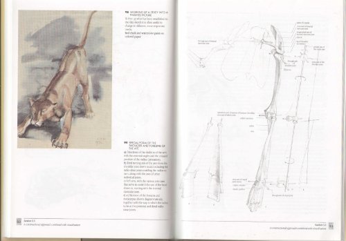 The Artist's Guide to Animal Anatomy: An Illustrated Reference to Drawing Animals