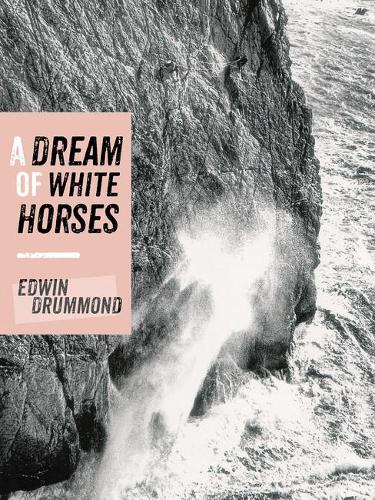 A Dream of White Horses