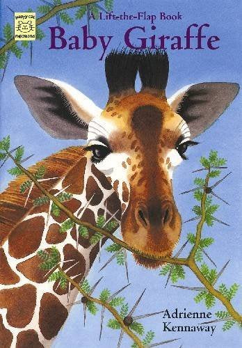 Baby Giraffe