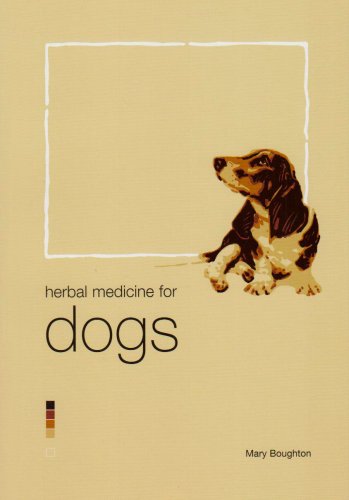 Herbal Medicine for Dogs