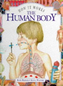 The Human Body 