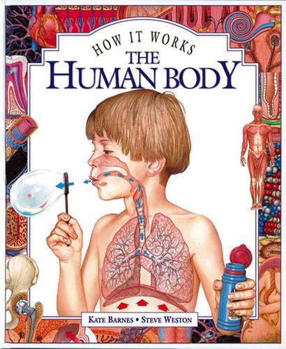 The Human Body