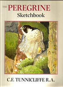 The Peregrine Sketchbook 