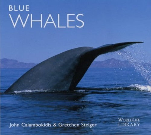 Blue Whales