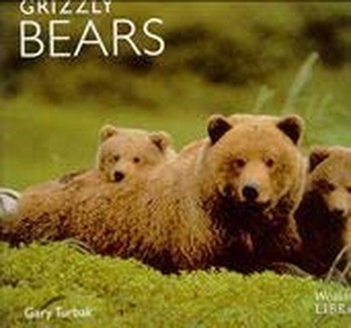 Grizzly Bears