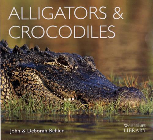 Alligators and Crocodiles