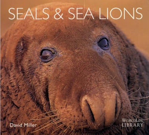 Seals and Sea Lions