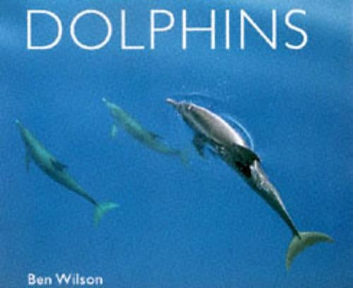 Dolphins