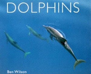 Dolphins