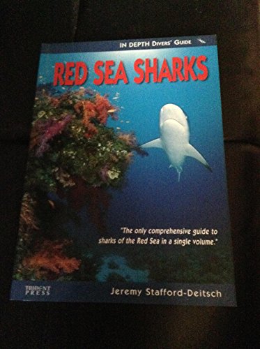 Red Sea Sharks