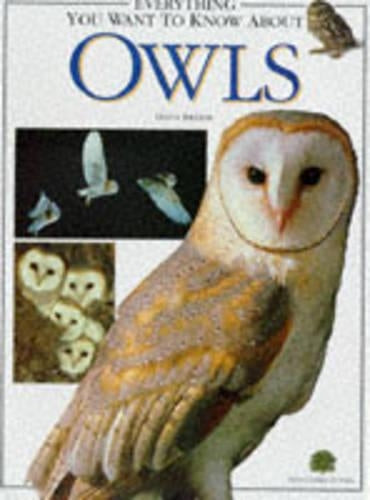 Everything You Want to Know About Owls