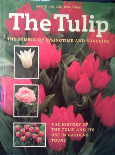 The Tulip
