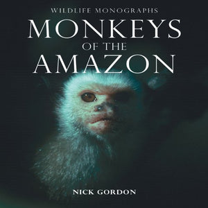 Monkeys of the Amazon 