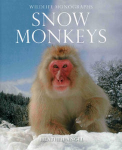 Snow Monkeys 