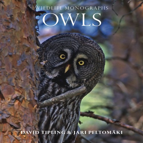 Owls