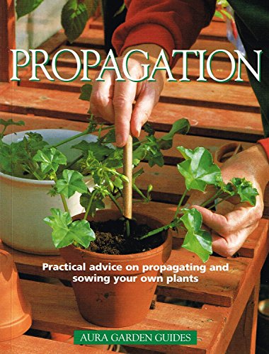 Propagation