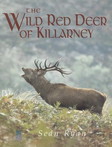 The Wild Red Deer of Killarney