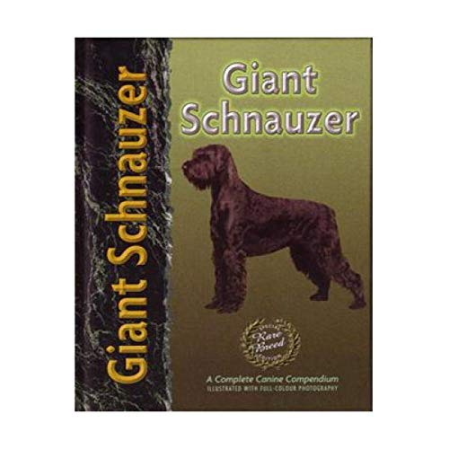 Giant Schnauzer