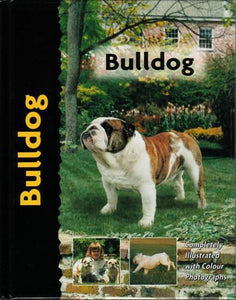 Bulldog 