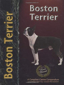 Boston Terrier 