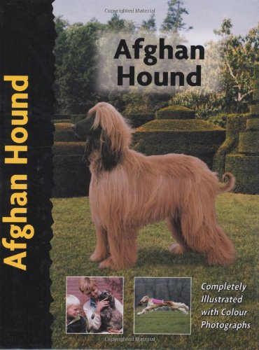 Pet Love Afghan Hound