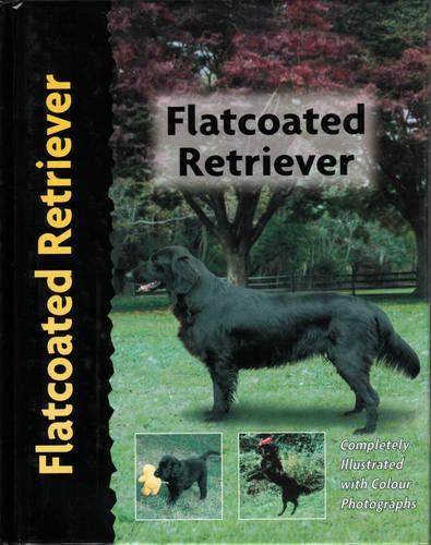 Flatcoated Retriever