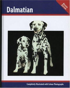 Dalmatian 