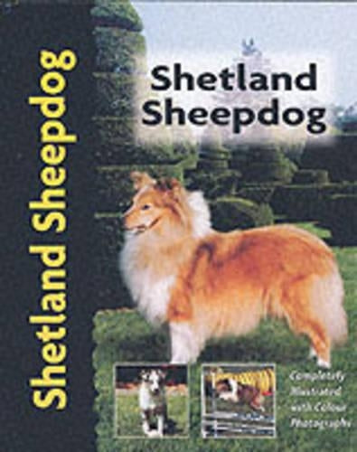 Shetland Sheepdog