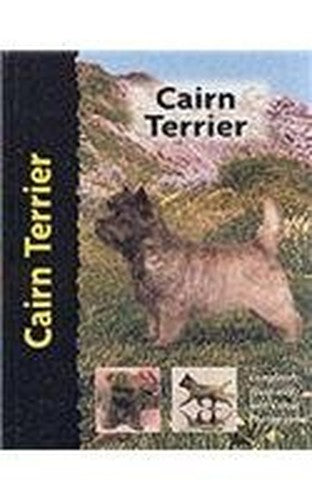Cairn Terrier