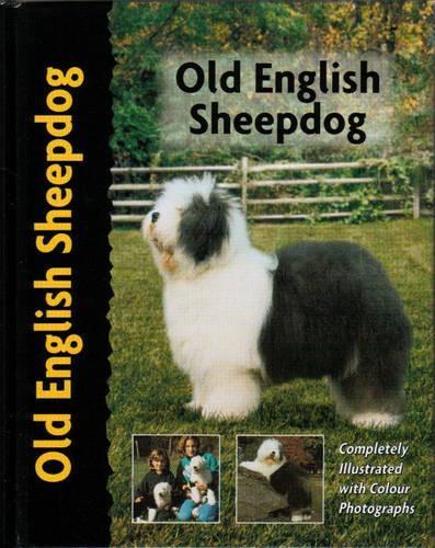 Old English Sheepdog