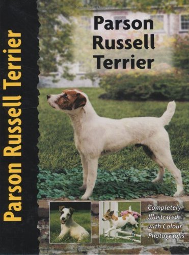 Parson Russell Terrier