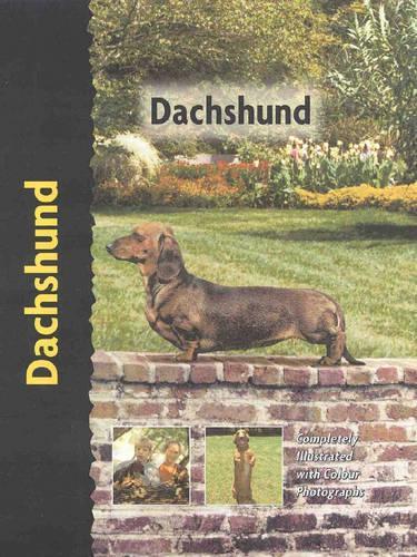 Pet Love Dachshund