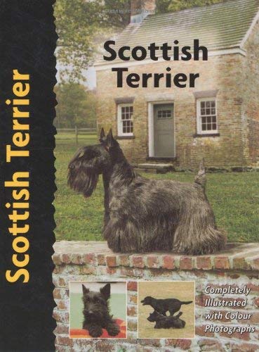 Scottish Terrier