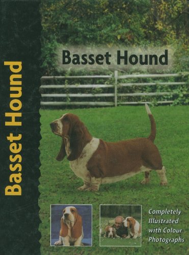Basset Hound