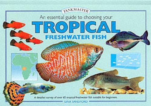 Tankmaster Tropical Freshwater Fish